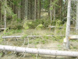 http://www.beskidmaly.pl/pun/extensions/hcs_image_uploader/uploads/40000/2500/42974/thumb/p19jrn6e8c1fd4nk1htho0219d54.jpg