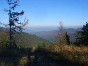 http://www.beskidmaly.pl/pun/extensions/hcs_image_uploader/uploads/40000/4000/44105/thumb/p1a2dsjdivf4emavrk1go91bar6.jpg