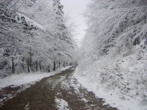 http://www.beskidmaly.pl/pun/extensions/hcs_image_uploader/uploads/40000/4000/44232/thumb/p1a4o0mj1t1d51k4t1mbg13fipee2.jpg