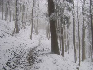 http://www.beskidmaly.pl/pun/extensions/hcs_image_uploader/uploads/40000/4000/44232/thumb/p1a4o0mq95echvifdhmcfkfe13.jpg