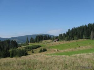 http://www.beskidmaly.pl/pun/extensions/hcs_image_uploader/uploads/40000/4500/44782/thumb/p1a95h7v1112gh10c8b8btbhpar1.jpg