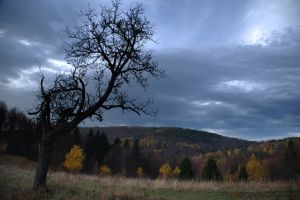 http://www.beskidmaly.pl/pun/extensions/hcs_image_uploader/uploads/40000/5000/45263/thumb/p1ae7popd43771sv81jund7tcnd1.jpg