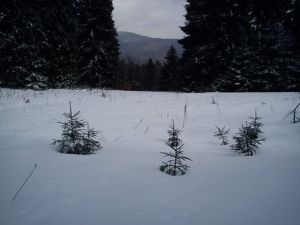 http://www.beskidmaly.pl/pun/extensions/hcs_image_uploader/uploads/40000/5000/45290/thumb/p1ael8f01rgmn1un5qgv1v5fs3r1.JPG