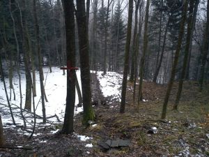 http://www.beskidmaly.pl/pun/extensions/hcs_image_uploader/uploads/40000/5000/45290/thumb/p1ael8jptd1fsa11ihnj6ovr17ee6.JPG