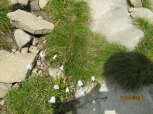 http://www.beskidmaly.pl/pun/extensions/hcs_image_uploader/uploads/40000/6000/46227/thumb/p1aq4i0m9cq02p7313pk1umep461.jpg
