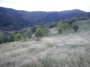 http://www.beskidmaly.pl/pun/extensions/hcs_image_uploader/uploads/40000/6500/46574/thumb/p1au5okt66107u10oc6pre1e1qtv1.JPG
