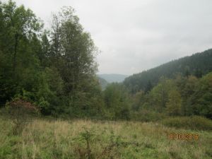 http://www.beskidmaly.pl/pun/extensions/hcs_image_uploader/uploads/40000/6500/46703/thumb/p1ausnib1dhi91600k1b1nvt1sv51.jpg