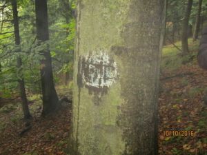 http://www.beskidmaly.pl/pun/extensions/hcs_image_uploader/uploads/40000/6500/46730/thumb/p1auvihvcghftb5e14k812591e96.jpg