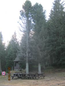 http://www.beskidmaly.pl/pun/extensions/hcs_image_uploader/uploads/40000/7500/47778/thumb/p1ba5bujok5r61n4j1qrsd7u1s8c1.jpg