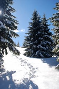 http://www.beskidmaly.pl/pun/extensions/hcs_image_uploader/uploads/40000/7500/47988/thumb/p1bc26f065m156r10eqmqb1qt31.jpg