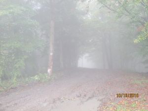 http://www.beskidmaly.pl/pun/extensions/hcs_image_uploader/uploads/40000/8000/48269/thumb/p1bej1s4r9hpq5ji1cco1ngh19o1.jpg